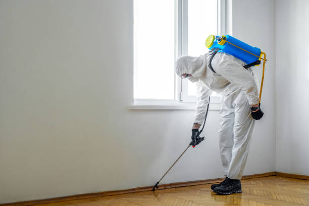 Pest Prevention Services in East Berlin, PA